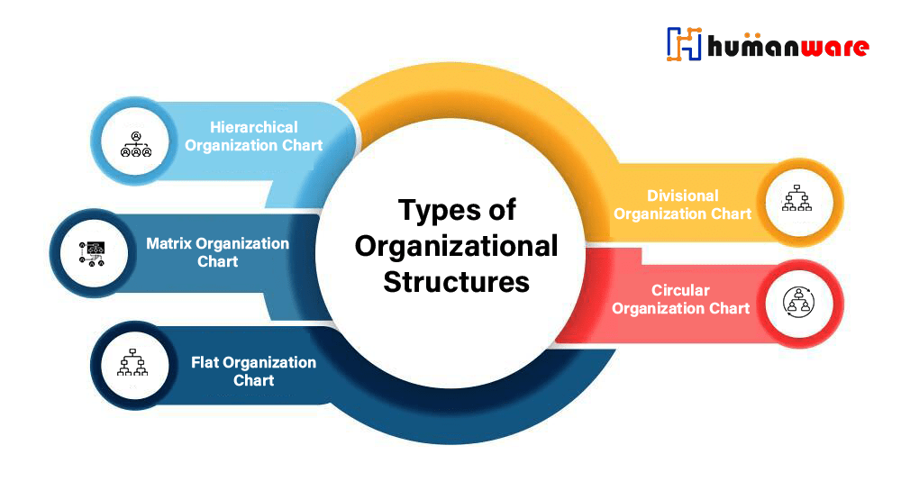 Types-of-organizational-structures-every-HR-must-know-about